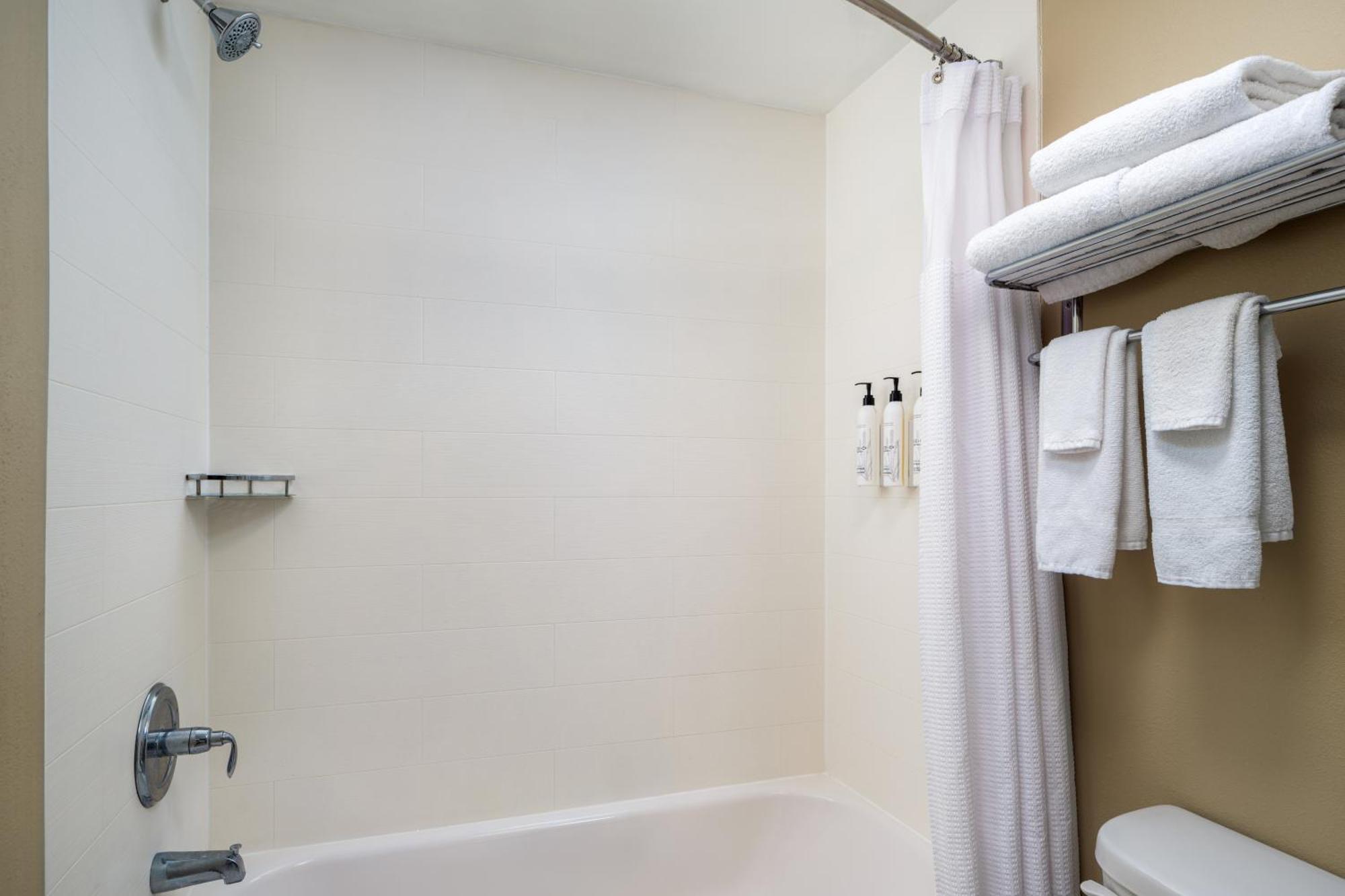 Springhill Suites Sarasota Bradenton Room photo